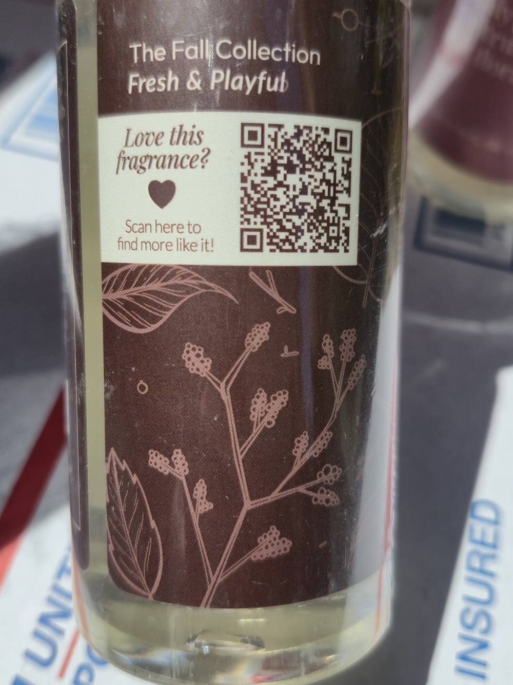 Fall Collection Fresh & Playful Body Wash - Brown